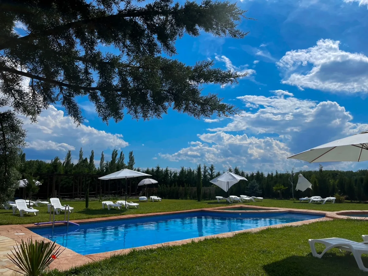 Piscina de agua salada de Villa Bagh con tumbonas y sombrillas